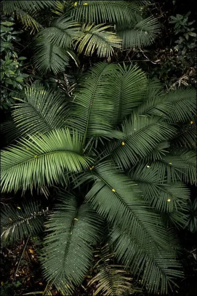 En 2011 en France, quel taux de chômage portait haut la classe des diplômés d'un niveau bac+5 ?