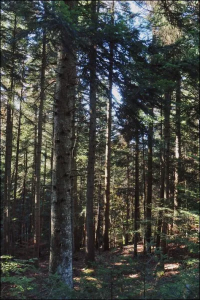 Aux chômeurs de quelle ville les ateliers nationaux devaient-ils fournir du travail au XIXe siècle ?