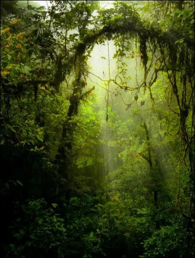 Par quoi divise-t-on le nombre de chômeurs au sens de l'OIT pour obtenir le taux de chômage ?