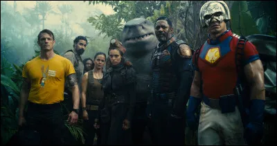 Amanda Waller reforme une &eacute;quipe de criminels pour une mission gouvernementale dans...