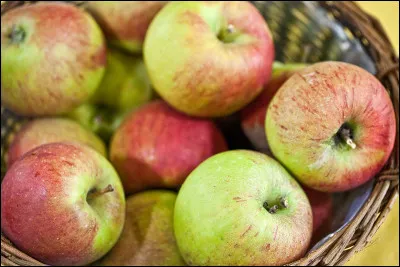 En médecine, qu'est-ce que l'atrichie ?
