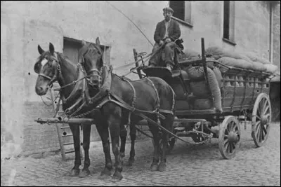 L'écrivain Alain avait pour véritable nom...