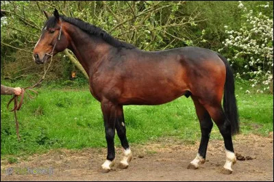 De quel pays, le mont Kékes, 1 014 m, est-il le point culminant ?