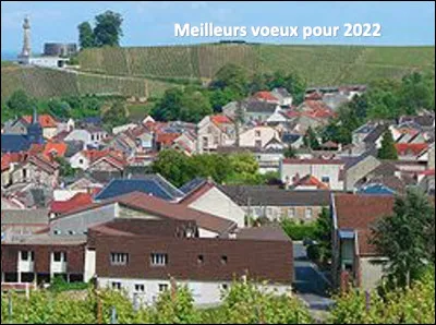 Le point culminant du département de la Marne est le mont Sinaï (286 m) situé dans la montagne de Reims.