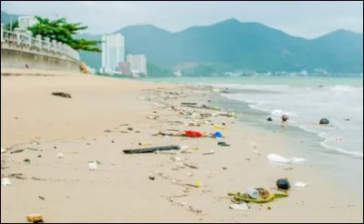 À votre avis quel est le matériau le plus polluant sur une plage ?