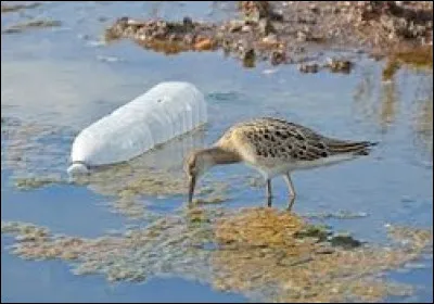 Quelle est l'estimation de la durée de la décomposition d'une bouteille en plastique jetée dans la nature ?
