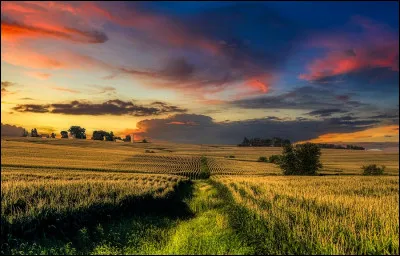 De quel pays l'Iowa est-il un État ?