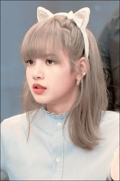 Lisa sait parler jusqu'à combien de langues différentes ?