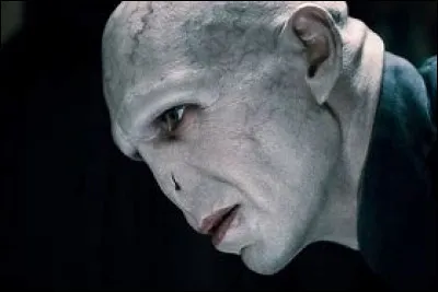 C'est la directrice de la maison Poufsouffle.
C'est le professeur de botanique.
Elle est souvent habillée en vert.