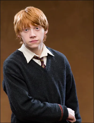 Il a les cheveux roux.
Il est l'un des premiers amis de Harry Potter.
Il est l'avant-dernier enfant des Weasley.