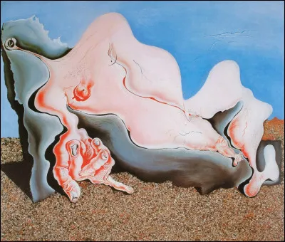 À qui appartient cette toile ?