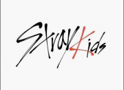 Test Qui es-tu dans Stray Kids ?