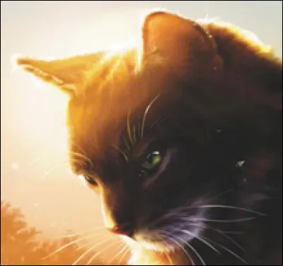 Feuille de Lune a eu des petits.