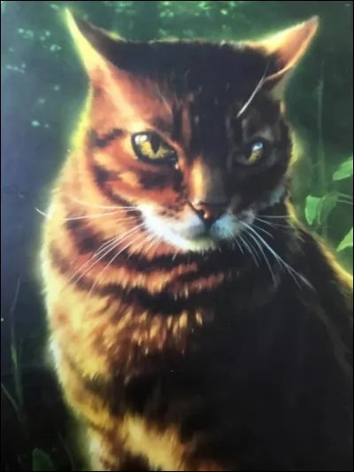 Aube Clair a deux frères qui sont guerriers.