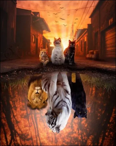 Quel est le prénom de la protagoniste de la pièce de théâtre "La Sauvage" (1934) ?