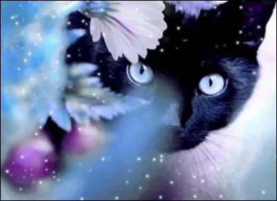 Juste pour savoir, lequel de ces paysages préfères-tu ?