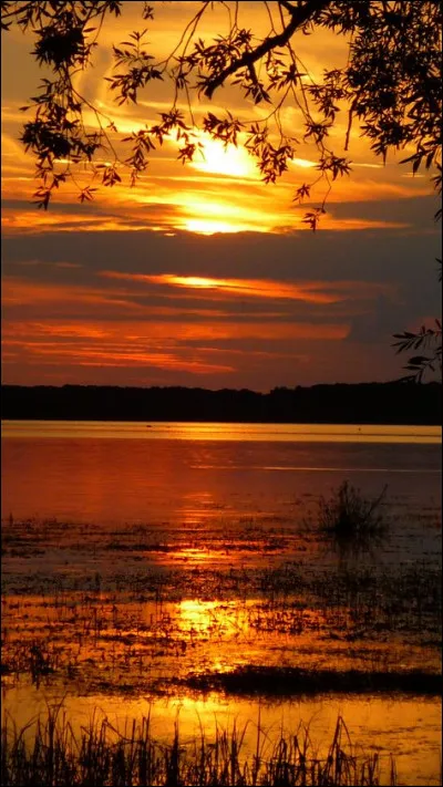 Dans lequel de ces départements la ville d'Aube ne se trouve-t-elle pas ?