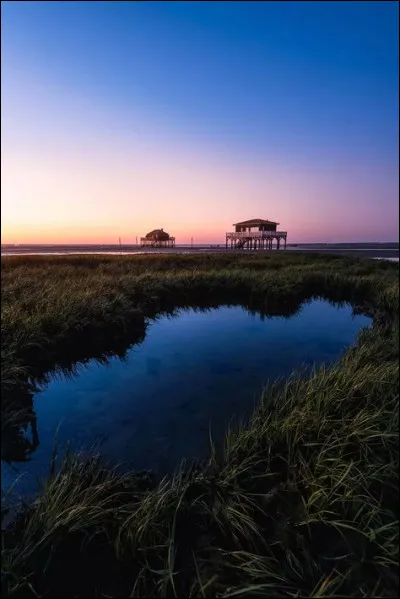Quelle forme l'aube a-t-elle en mécanique ?
