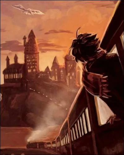 Quelle est ta matière favorite à Poudlard parmi celles-là ? (1)