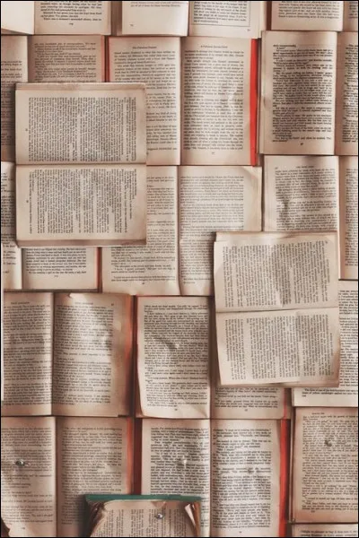 Pour lequel de ces journaux a-t-il travaillé ?