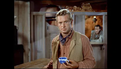 Qui accompagne Sterling Hayden dans le film "Johnny Guitare" ?