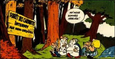 Quel troph&eacute;e r&eacute;compense le meilleur druide de l'ann&eacute;e dans "Ast&eacute;rix et les Goths" ?