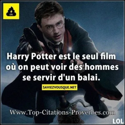 Quel pire défaut pourrait-on te donner ?