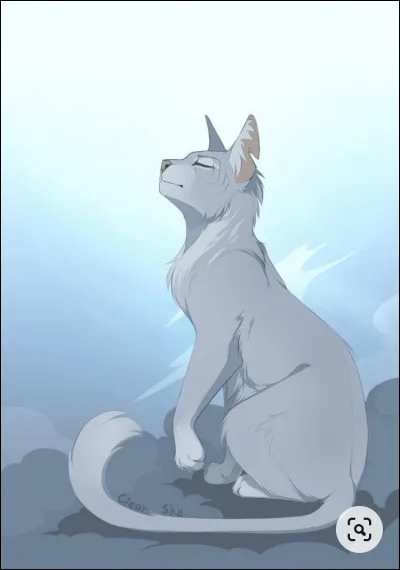 Qui est-ce ?(Bien zoomer au dessus de la queue)