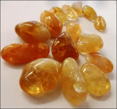 La Citrine a pour animal...