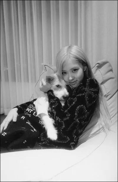 Quel est ton r&ocirc;le dans un groupe de K-pop ?