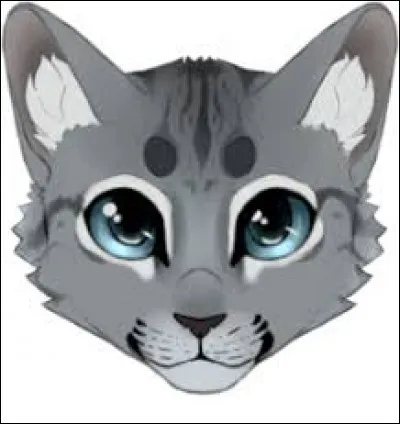 Qui est le chaton emport&eacute; par l'aigle ?