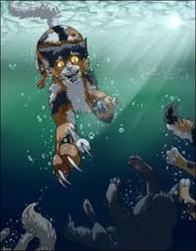 Quel est le nom de la fille d'Ombre d'&Eacute;rable ?