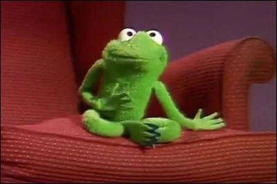 Robin est le ... de Kermit.