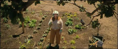 Un film sorti le 24 septembre 2021 sur Netflix. Quel est ce film, qui est une comédie dramatique, réalisé par Theodore Melfi, dans lequel on peut voir Melissa McCarthy, Chris O'Dowd et Timothy Olyphant ?