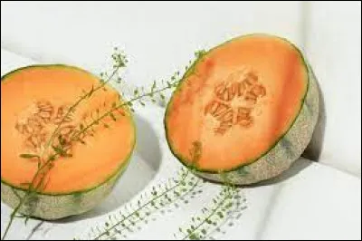 À quelle famille de plantes le melon appartient-il ?