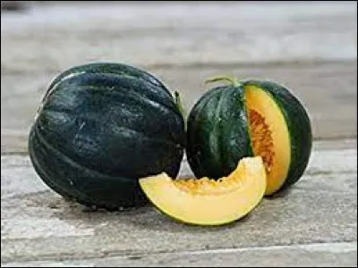 Pour récolter le melon, la pleine saison s'étend de juillet à...