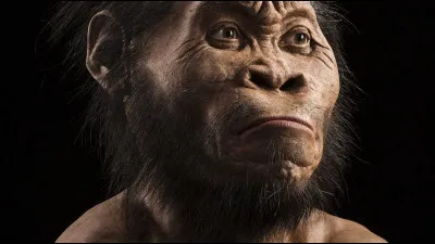 Et pour finir, quel est cet animal ?