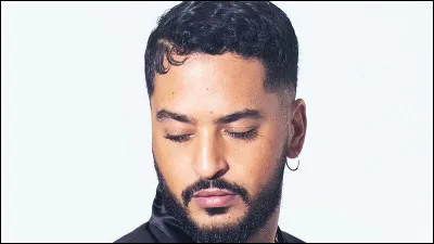 Ce chanteur peut-il &ecirc;tre qualifi&eacute; de chanteur &agrave; voix ?