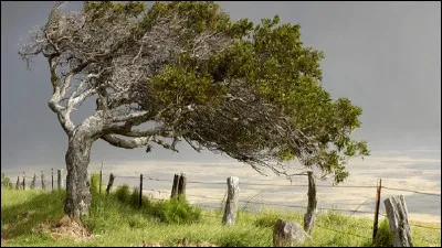 Val comme vallée : quel vent souffle dans la vallée du Rhône ?