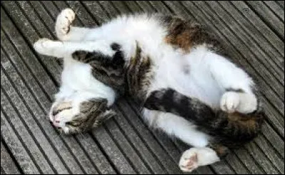 Tu veux que ton nom commence par...