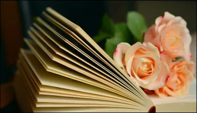 Henry de Montherlant : lequel de ces livres ne lui appartient pas ?