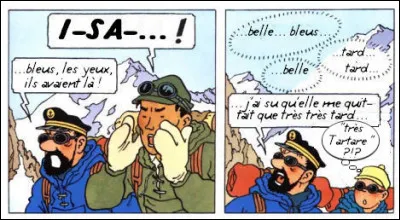 Mais qui sont ces Inconnus qui chuintent sur nos têtes, plagiant un des plus anciens (eh oui, hélas !) groupes français au nom venu d'outre-Prout* ?