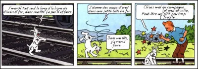 C'est Milou qui s'y colle, dans un grand numéro d'équilibriste !