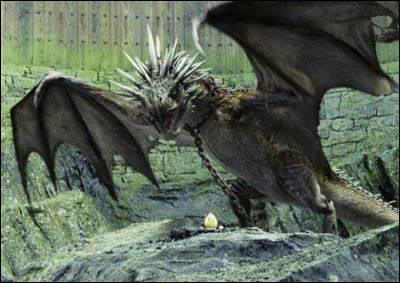 Dans quel film Harry est-il confronté à ce dragon pendant le "Tournoi des Trois Sorciers" en première épreuve ?