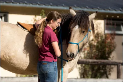 Comment s'appelle cet exercice ?