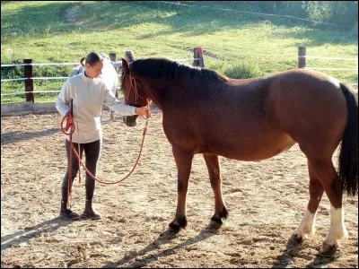 Comment s'appelle cet exercice ?