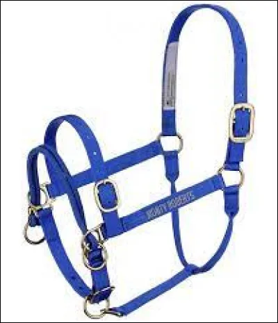 À quoi sert le licol de Monty Roberts ?