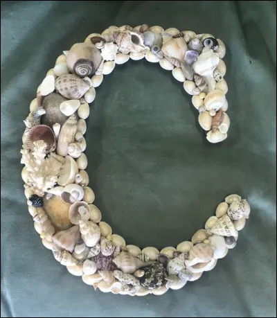 Je cherche un roman de la Comtesse de S&eacute;gur :