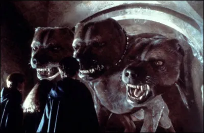 Comment s'appelle le chien à trois têtes qui garde la trappe sous laquelle se trouve la pierre philosophale ?