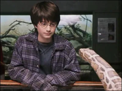 Quel type de serpent s'est échappé de sa cage lors de la visite au zoo ?